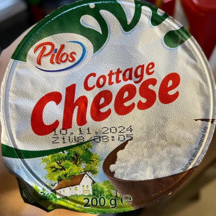 Fotografie - Cottage Cheese Pilos