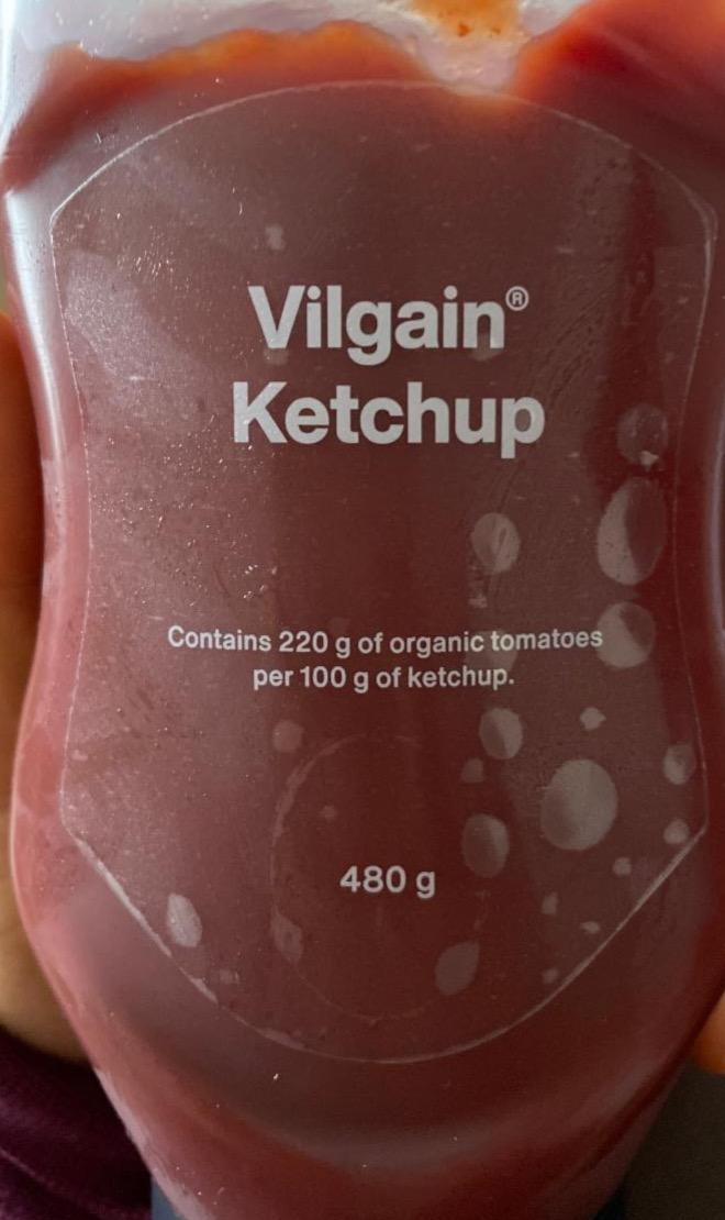 Fotografie - Ketchup Vilgain