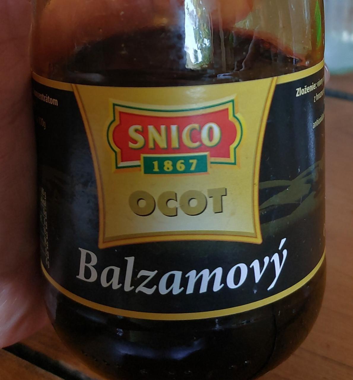 Fotografie - Ocot Balzamový Snico