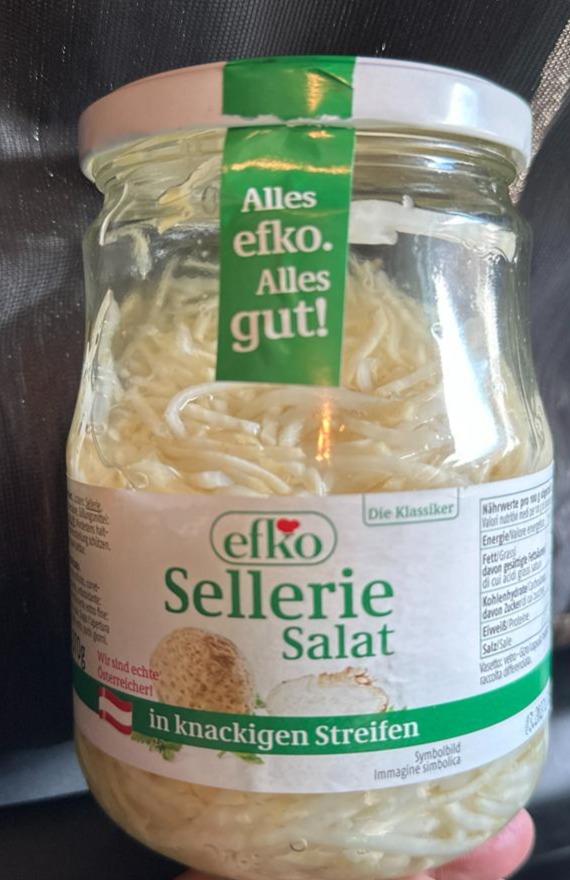 Fotografie - Sellerie Salat efko