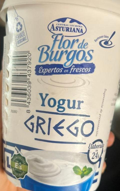 Fotografie - Flor de Burgos Yogur Griego Asturiana