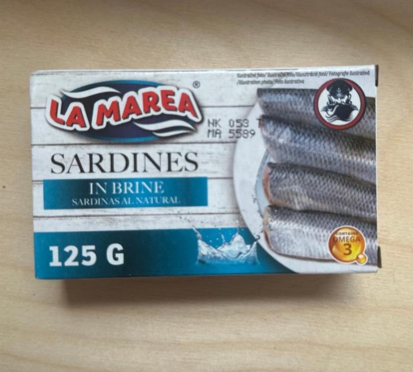 Fotografie - Sardines in Brine La Marea