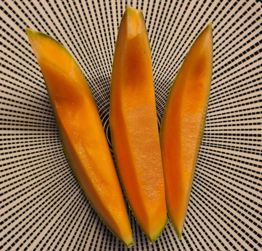 Fotografie - žltý melón cantaloupe