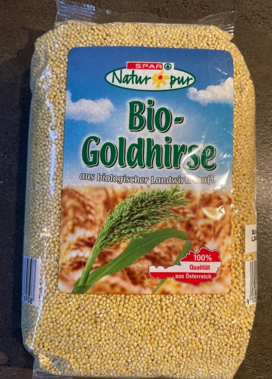 Fotografie - Bio-Goldhirse Spar Natur pur