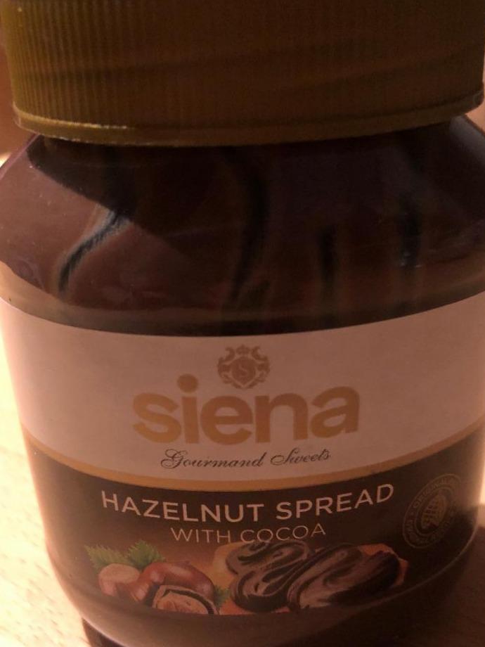 Fotografie - hazelnut spread with cocoa Kakaový orieškový krém SIENA