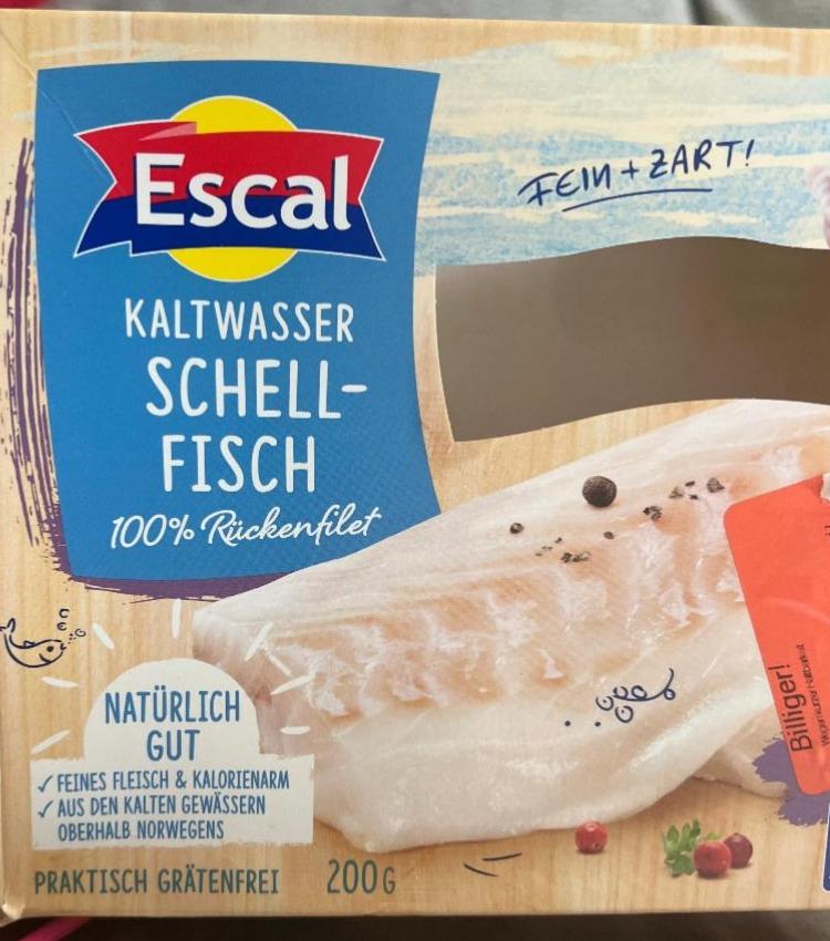 Fotografie - Kaltwasser Schell-Fisch Escal