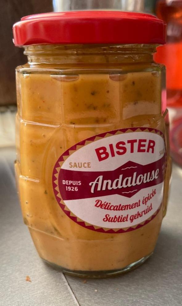 Fotografie - Andalouse Sauce Bister