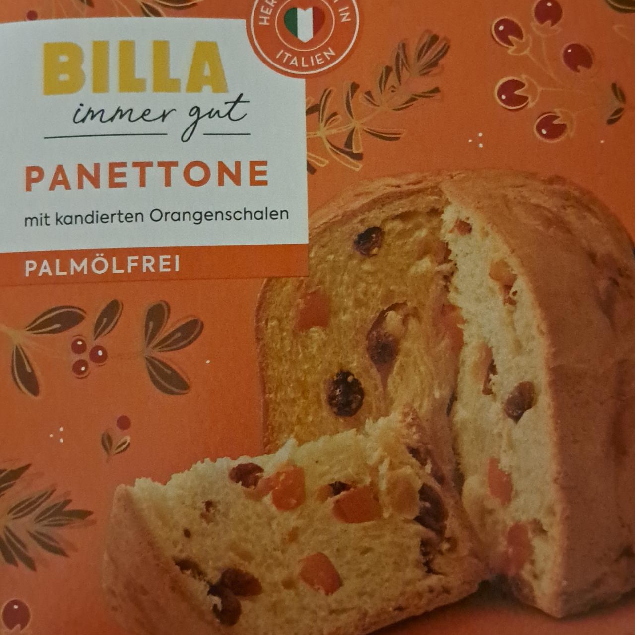 Fotografie - Panettone mit kandierten Orangenschalen Billa immer gut