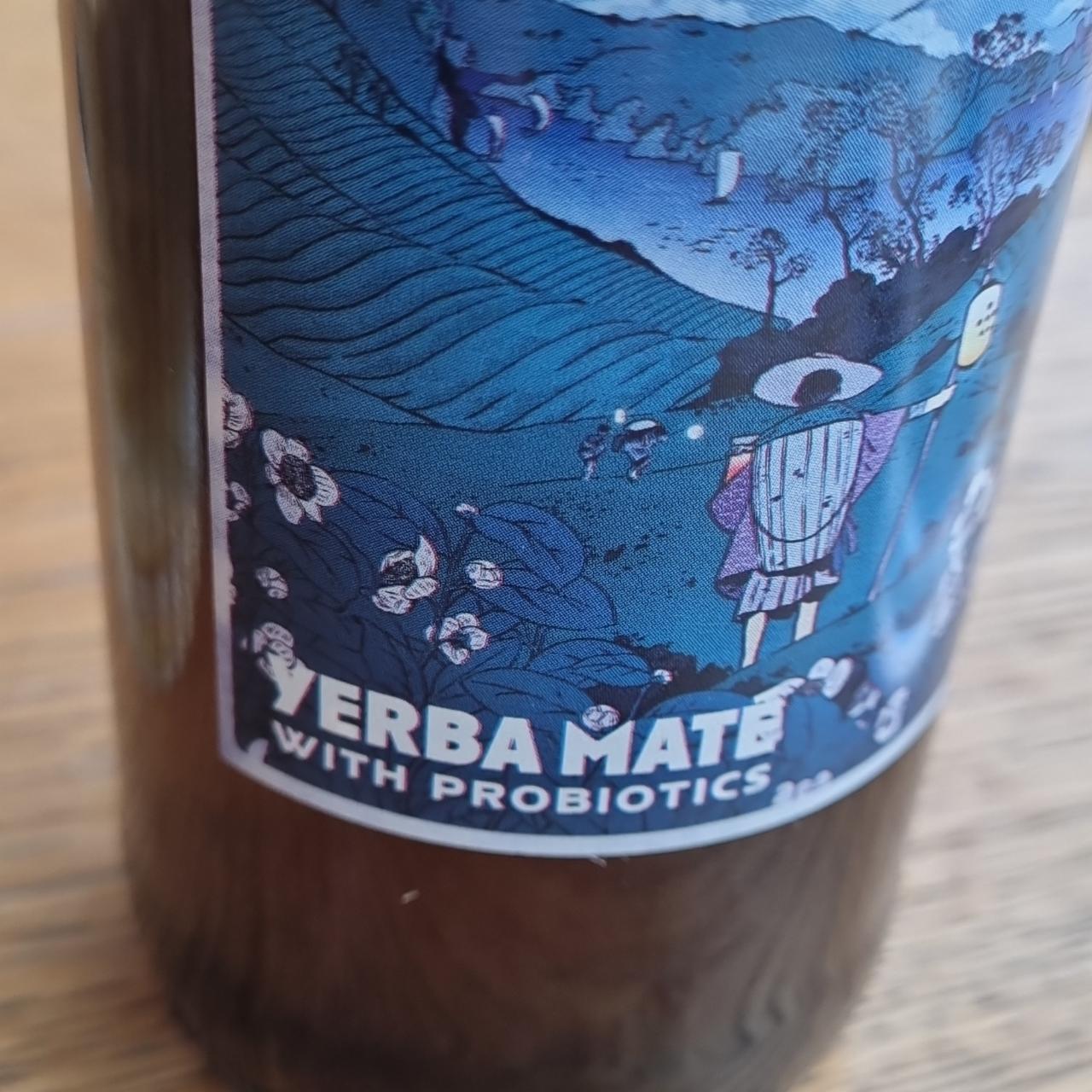 Fotografie - Yerba maté with probiotics Kombucha