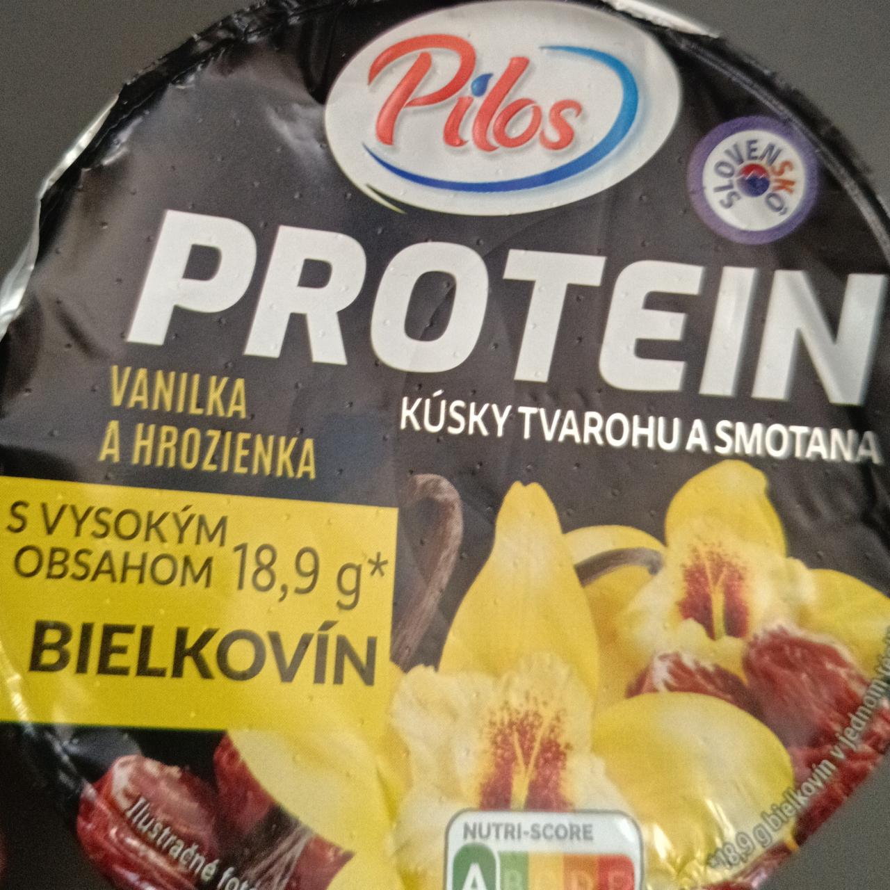 Fotografie - Protein kúsky tvarohu a smotana vanilkové s hrozienkami Pilos