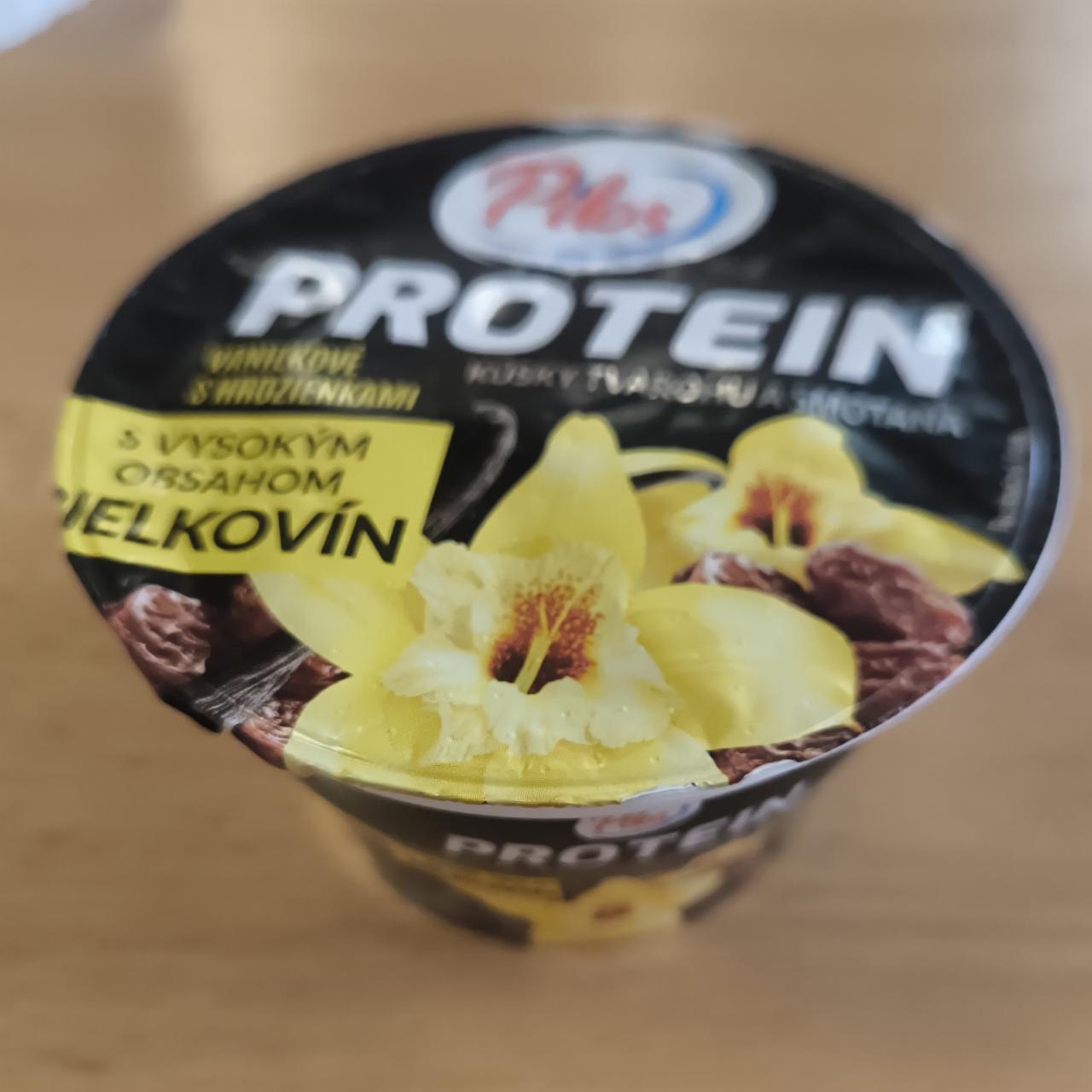 Fotografie - Protein kúsky tvarohu a smotana vanilkové s hrozienkami Pilos