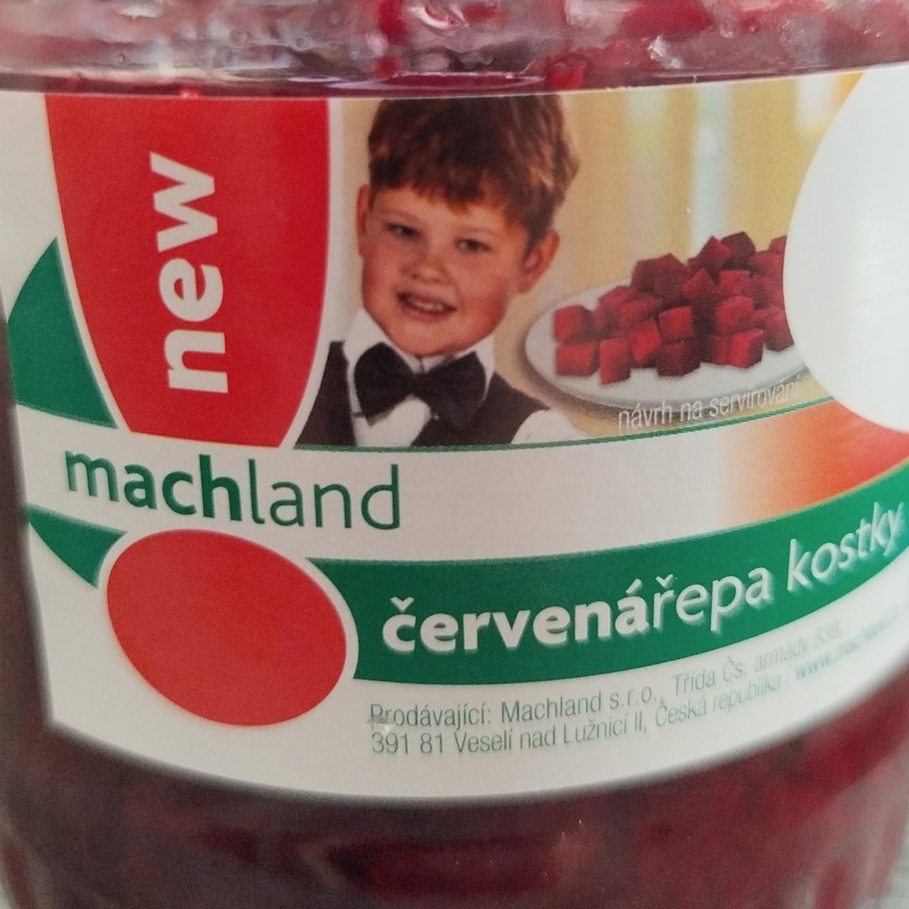 Fotografie - Červená řepa kostky Machland