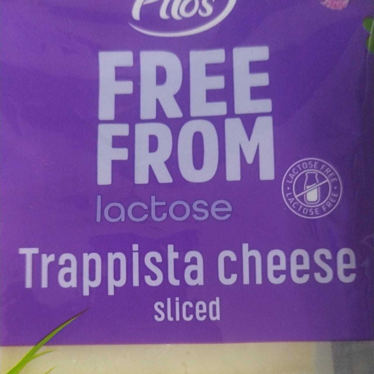 Fotografie - Free From lactose Trappista cheese sliced Pilos