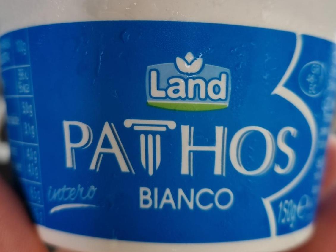 Fotografie - Pathos bianco Land