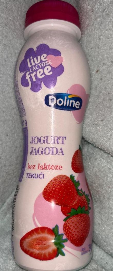 Fotografie - Jogurt Jagoda bez laktoze Doline